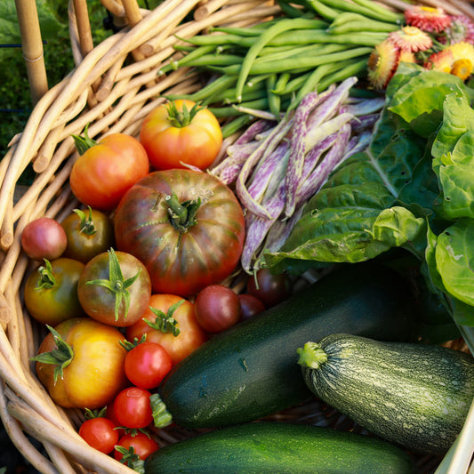 From Farm to Table: Fresh-Picked, Wichita-Grown Goodness
