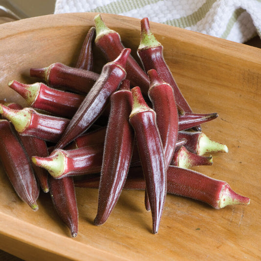 Carmen Splendor F1 Okra (Starter Plant)
