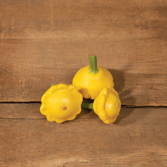 Lemon Sun Patty Pan Squash (Starter Plant)