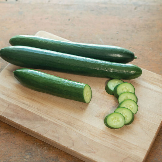 Unagi Mild Seedless Cucumber (Starter Plant)
