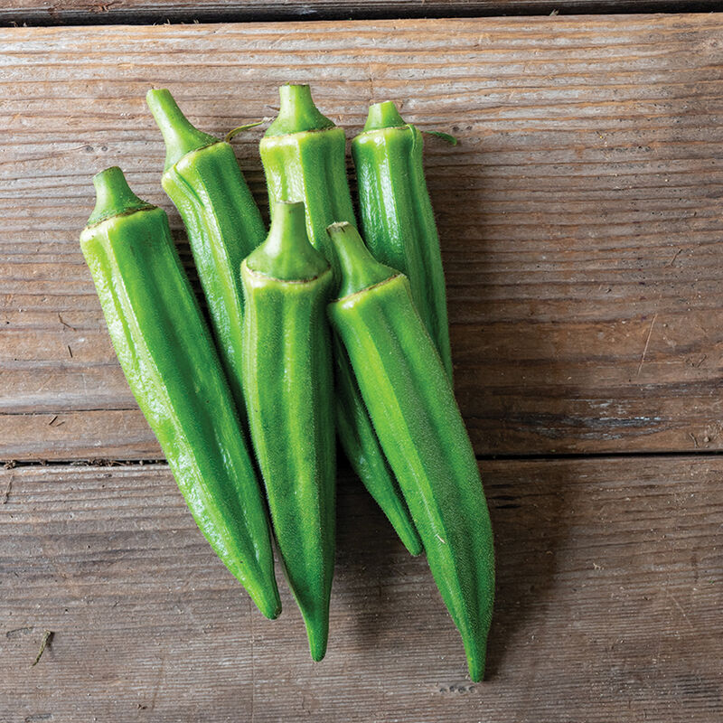 Jambalaya 2.0 F1 Okra (Starter Plant)
