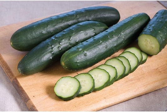 Corinto F1 OG Hybrid American Cucumber (Starter Plant)