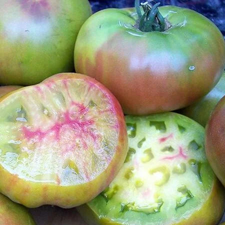 Ananas Noir Slicer Tomato (Starter Plant)