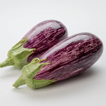 Annina Eggplant (Starter Plant)