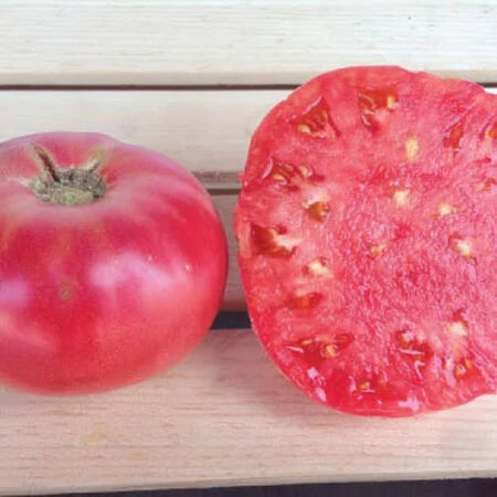 Brandywine Slicer Tomato (Starter Plant)