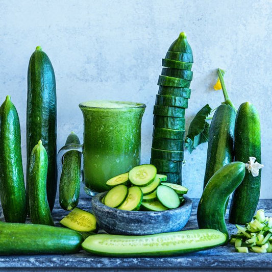 Biet Alpha Mild Seedless Cucumber (Starter Plant)